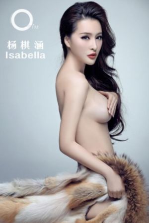 与君歌电视剧