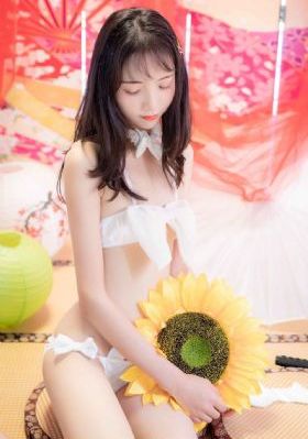 小蜜桃3